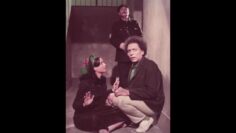 من افلام الزعيم عادل امام الهلفوت بطولة عادل امام الهام شاهين صلاح قابيل سعيد صالح  1985