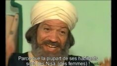 الإمام النسائي