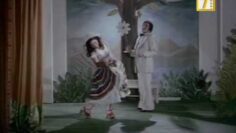 فلم  المتوحشة  سعاد حسني محمود عبدالعزيز فلم عربي 1979