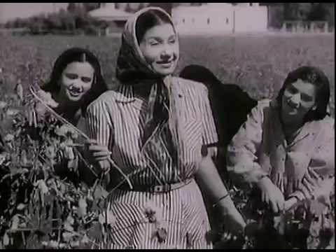 التحميل المسبق صورة