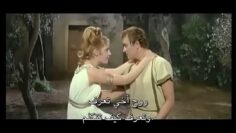 بطل بلا وطن  مترجم ترجمة حمامة