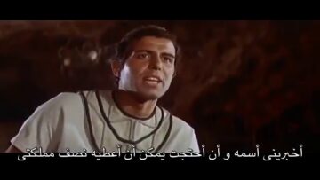 انتصار ماشيست مترجم ترجمة حمامة