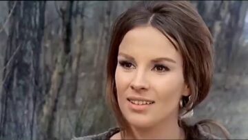 مذبحة الغابة السوداء  مترجم ترجمة حمامة