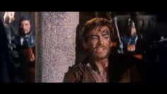 السيد مترجم ترجمة حمامة جزء ثان