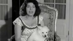 ‫حلاق السيدات | الفيلم العربي | إسماعيل يس و كريمة