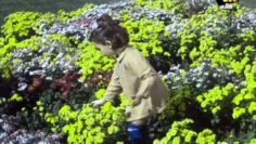 فيلم ثم تشرق الشمس نجلاء فتحي نور الشريف فلم عربي 1971 م