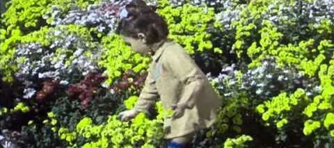 فيلم ثم تشرق الشمس نجلاء فتحي نور الشريف فلم عربي 1971 م