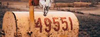 فيلم رعب إيجي بست جديد 2023 |الجثة رقم 49551| كامل مترجم بجودة عالية HD يستحق المشاهدة فرجة ممتعة