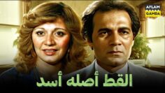 حصرياً فيلم القط أصله أسد | بطولة محمود ياسين ومديحة كامل