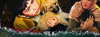 آمال ضائعة – فيلم تركي مدبلج للعربية