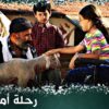رحلة أمل  | فيلم تركي مدبلج للعربية  #فيلمتركي Ak Kırlangıç