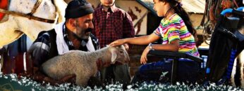 رحلة أمل  | فيلم تركي مدبلج للعربية  #فيلمتركي Ak Kırlangıç