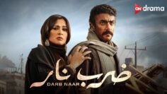 ياسمين عبد العزيز وأحمد العوضي يتألقون في فيلم “ضرب نار” | Yasmin Abdulaziz & Ahmad Al Awadi