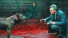 فيلم رعب خطير جدا [ Night of the wild ] مترجم بجودة عالية 🔞