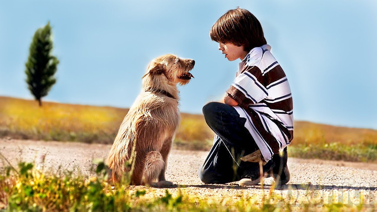 التحميل المسبق صورة