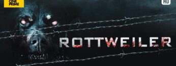 Rottweiler : Le chien de la mort – Film complet –  Action, Epouvante-horreur
